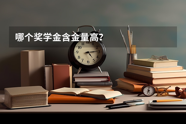 哪个奖学金含金量高？
