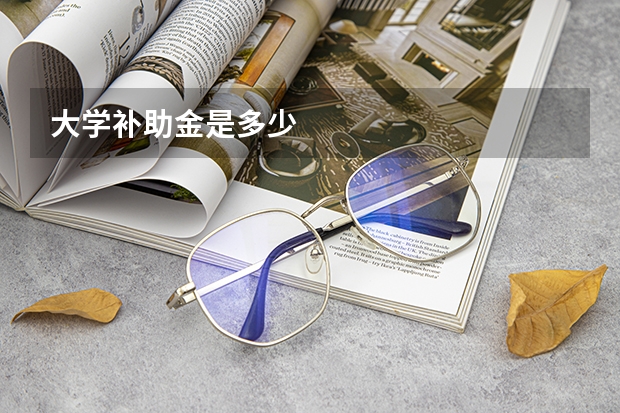 大学补助金是多少