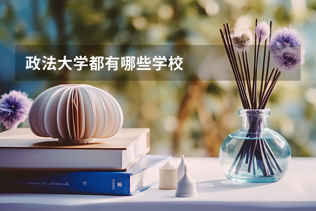 政法大学都有哪些学校