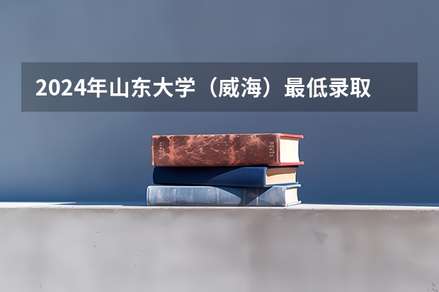 2024年山东大学(威海)最低录取分数线
