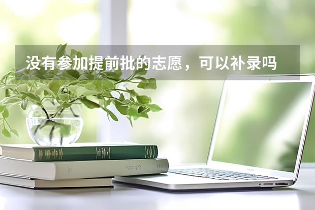没有参加提前批的志愿，可以补录吗