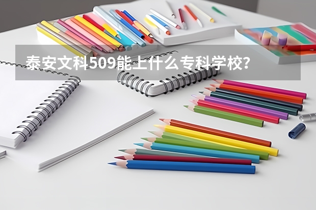 泰安文科509能上什么专科学校？