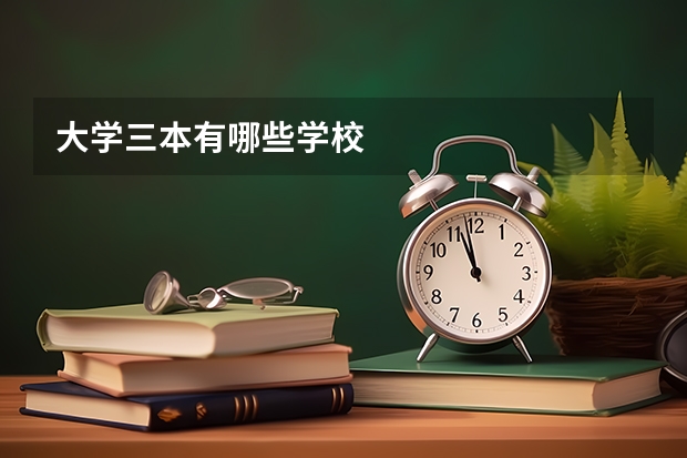大学三本有哪些学校