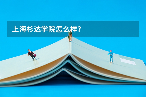 上海杉达学院怎么样?