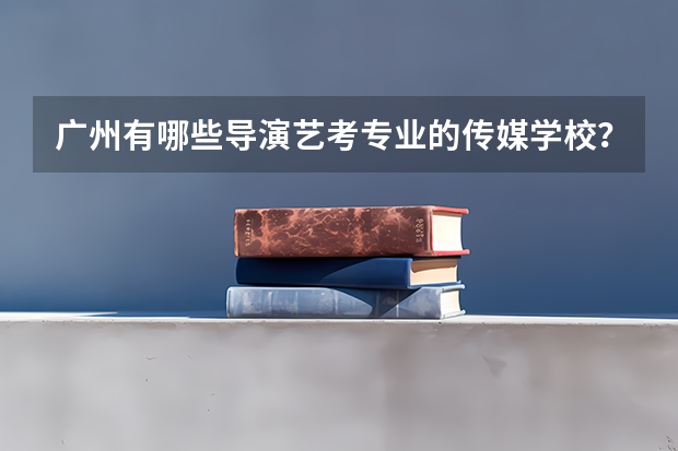 广州有哪些导演艺考专业的传媒学校?