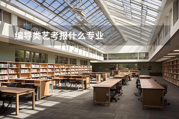 编导类艺考报什么专业