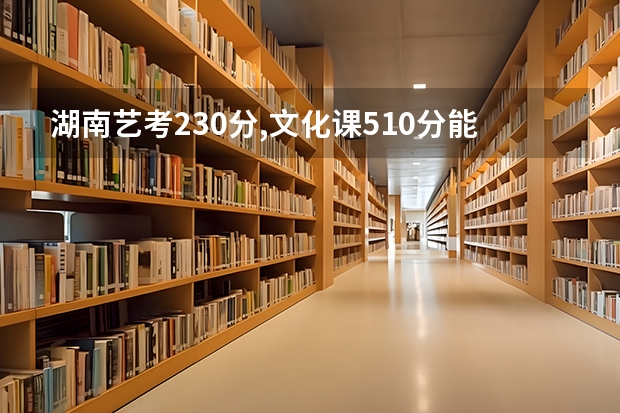 湖南艺考230分,文化课510分能上什么大学如果有这个分,想报考外省的美术生?
