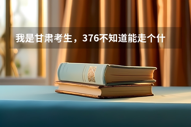 我是甘肃考生,376不知道能走个什么,想走个外地的大专或者三本。不知道可以不?