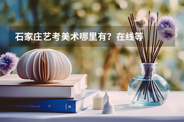 石家庄艺考美术哪里有?在线等