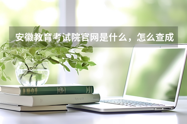 安徽教育考试院官网是什么,怎么查成绩?