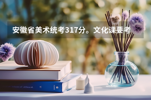 安徽省美术统考317分。文化课要考多少,大概能上一本?