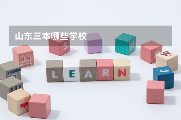 山东三本哪些学校