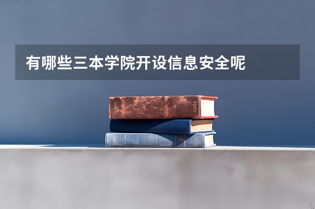 有哪些三本学院开设信息安全呢