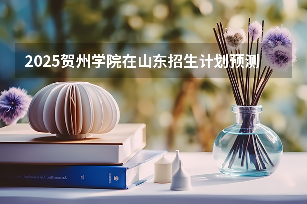 2025贺州学院在山东招生计划预测