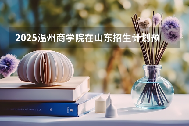 2025温州商学院在山东招生计划预测