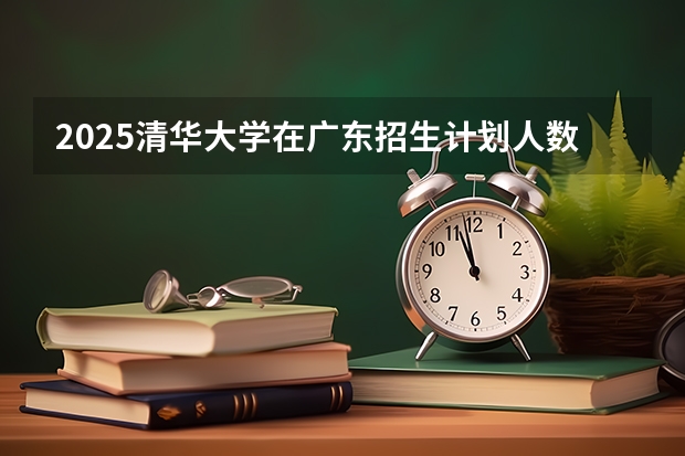2025清华大学在广东招生计划人数