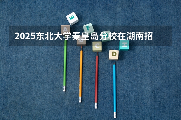 2025东北大学秦皇岛分校在湖南招生计划人数