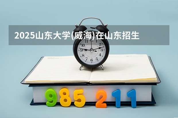 2025山东大学(威海)在山东招生计划人数