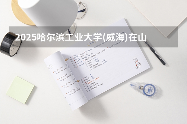 2025哈尔滨工业大学(威海)在山东招生计划人数