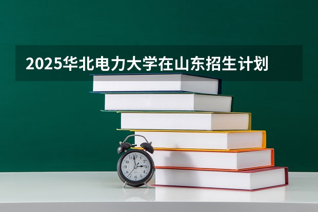 2025华北电力大学在山东招生计划人数