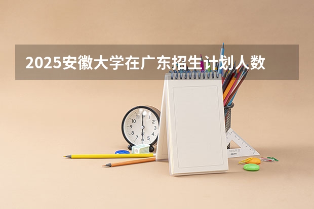 2025安徽大学在广东招生计划人数
