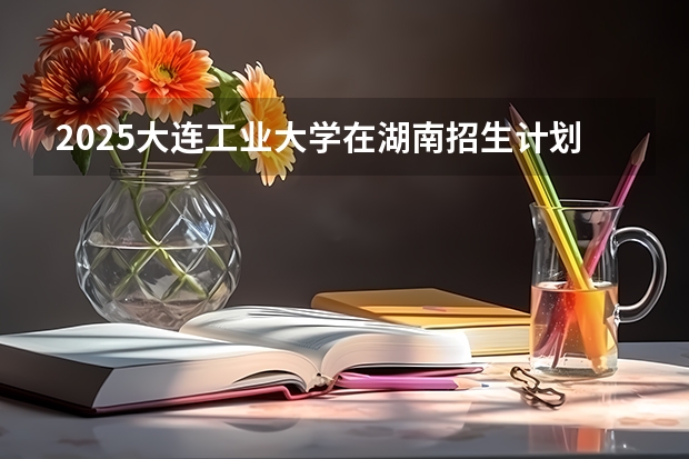 2025大连工业大学在湖南招生计划人数