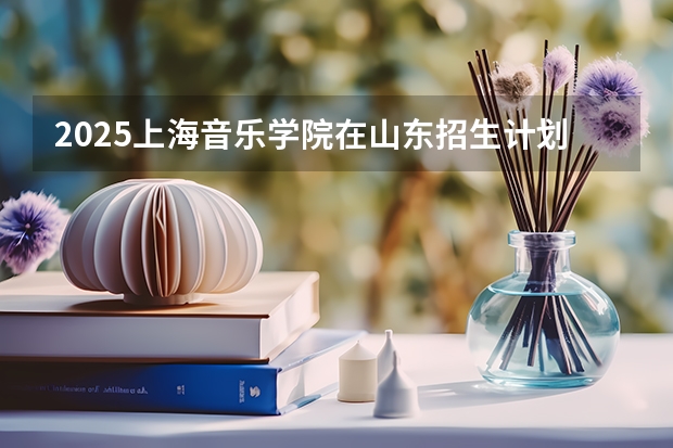 2025上海音乐学院在山东招生计划人数