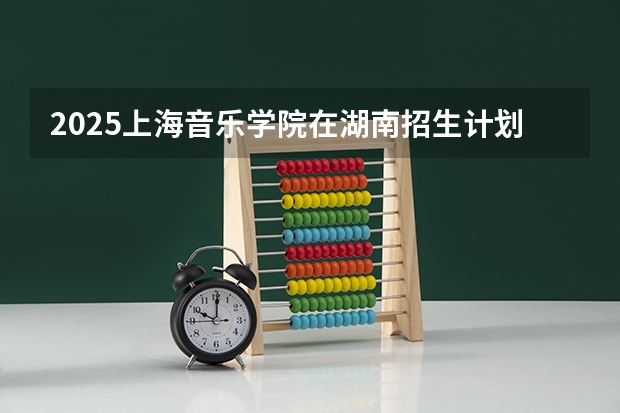 2025上海音乐学院在湖南招生计划人数