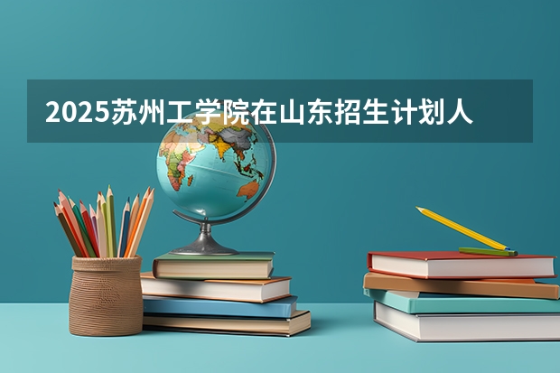 2025苏州工学院在山东招生计划人数