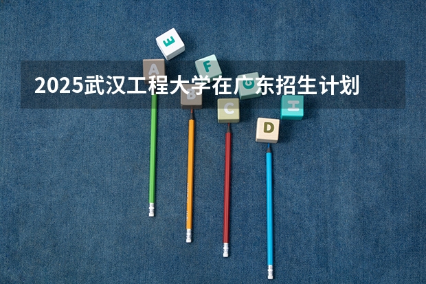 2025武汉工程大学在广东招生计划人数
