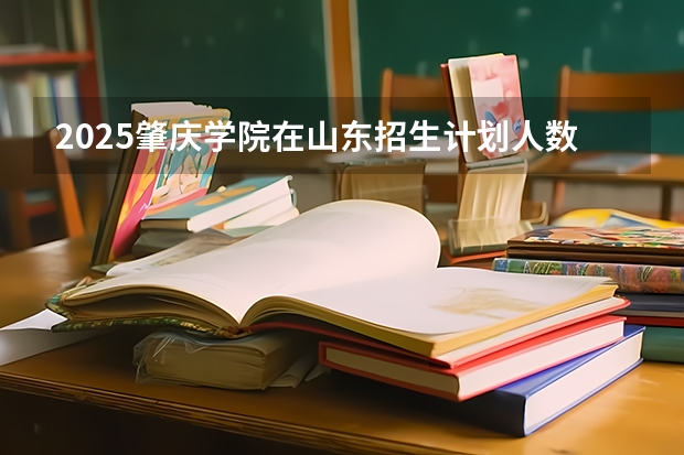 2025肇庆学院在山东招生计划人数