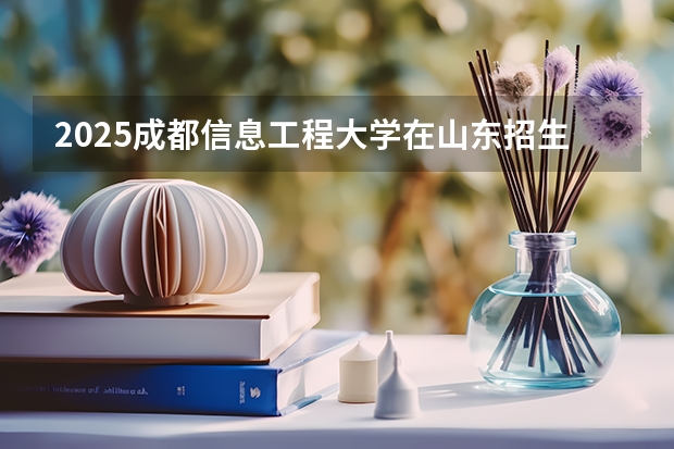 2025成都信息工程大学在山东招生计划人数