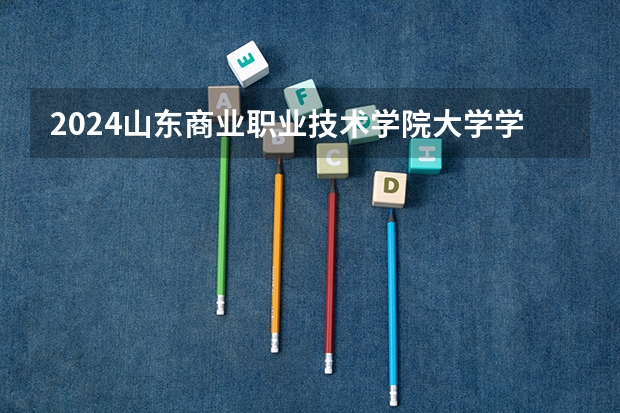 2024山东商业职业技术学院大学学费一年多少钱？