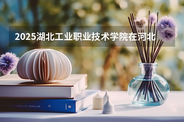 2025湖北工业职业技术学院在河北招生计划人数