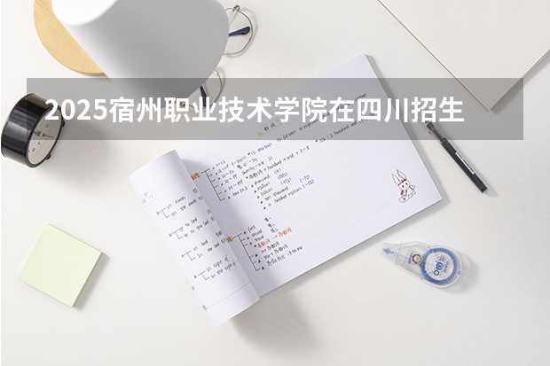 2025宿州职业技术学院在四川招生计划人数