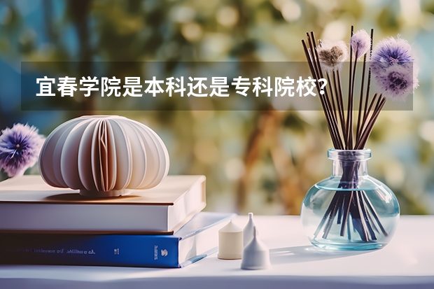 宜春学院是本科还是专科院校？