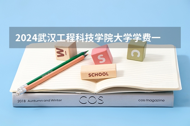 2024武汉工程科技学院大学学费一年多少钱?