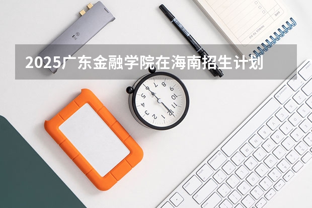 2025广东金融学院在海南招生计划人数