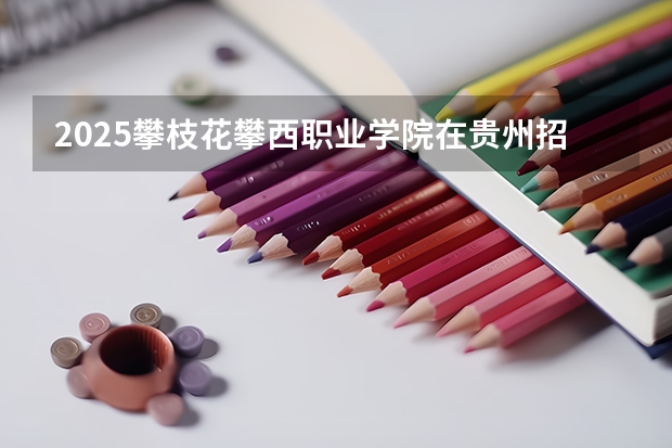 2025攀枝花攀西职业学院在贵州招生计划人数