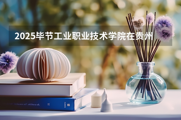 2025毕节工业职业技术学院在贵州招生计划人数