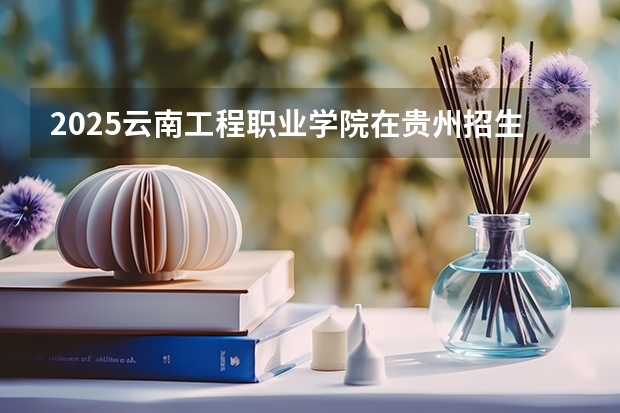2025云南工程职业学院在贵州招生计划人数