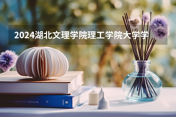 2024湖北文理学院理工学院大学学费一年多少钱？
