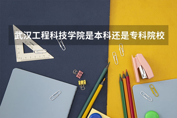 武汉工程科技学院是本科还是专科院校?