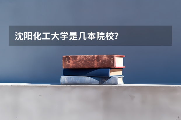 沈阳化工大学是几本院校？