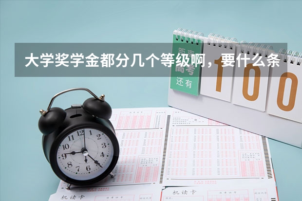 大学奖学金都分几个等级啊，要什么条件